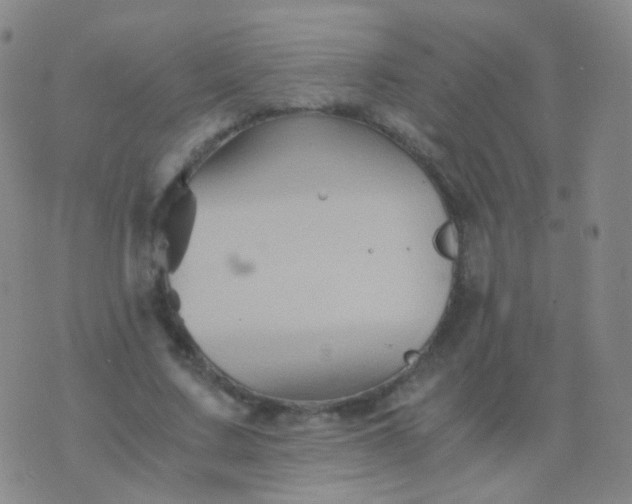 X0000076450683200610202335