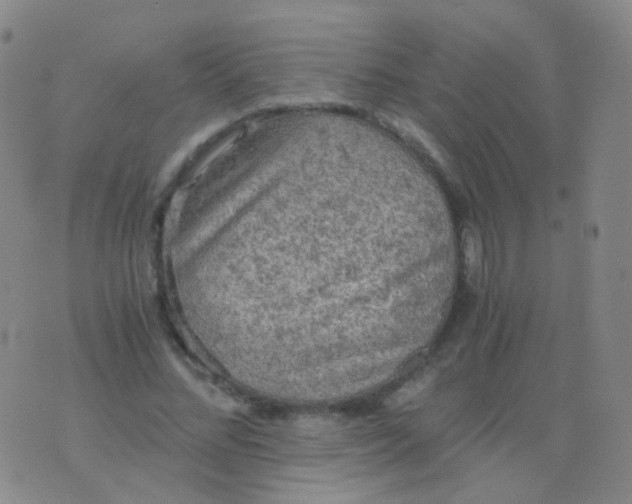 X0000076450684200610202335