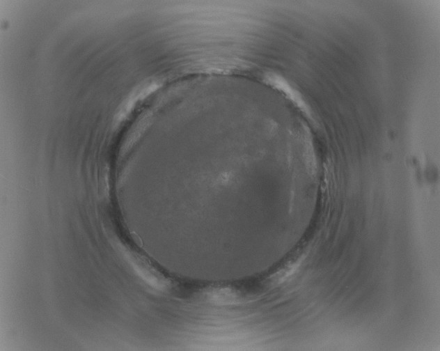 X0000076450685200610202335