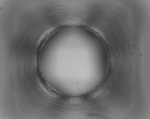 X0000076450686200610202335