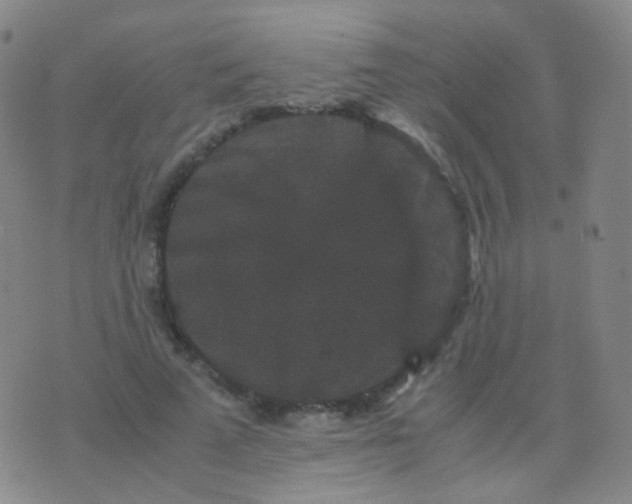 X0000076450689200610202335