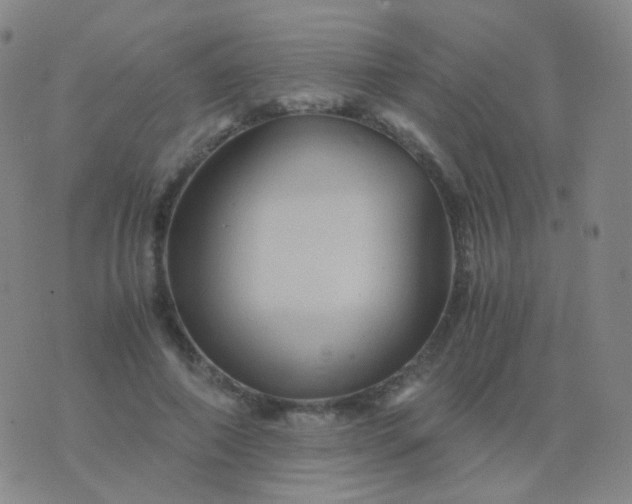 X0000076450690200610202335