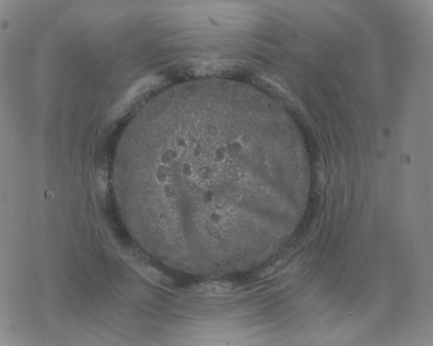 X0000076450691200610202335