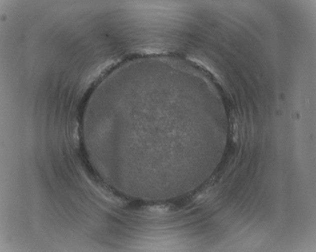 X0000076450692200610202335