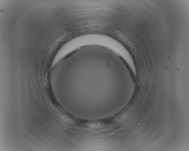 X0000076450693200610202335