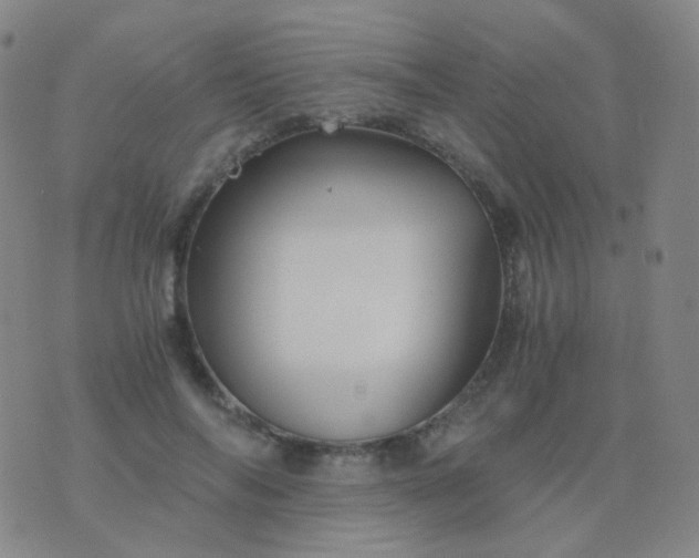 X0000076450694200610202335