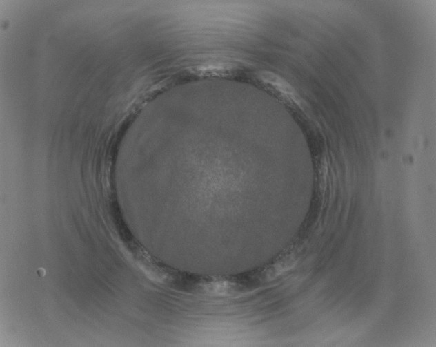 X0000076450695200610202335