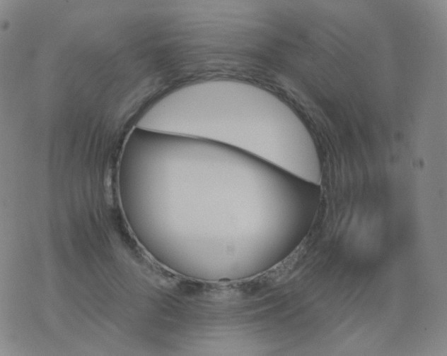 X0000076450696200610202335