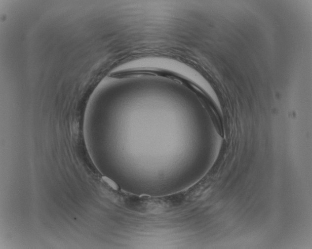 X0000076450697200610202335