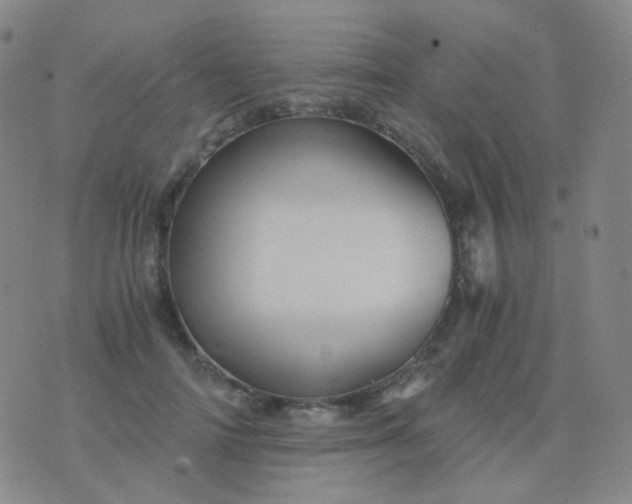 X0000076450698200610202335