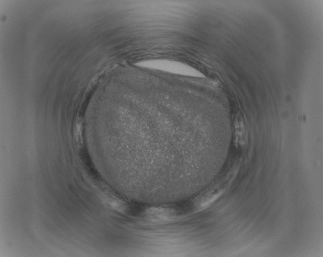 X0000076450699200610202335