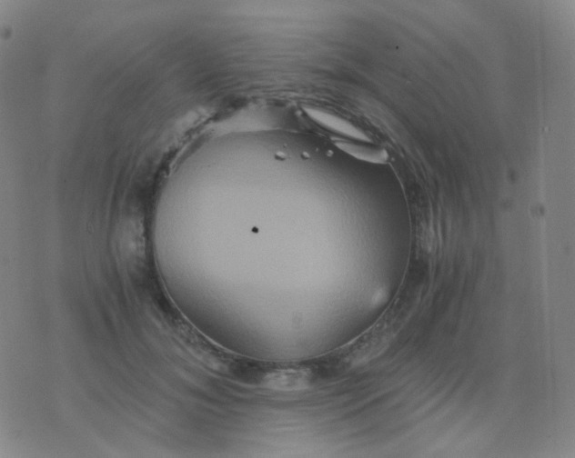 X0000076450700200610202335