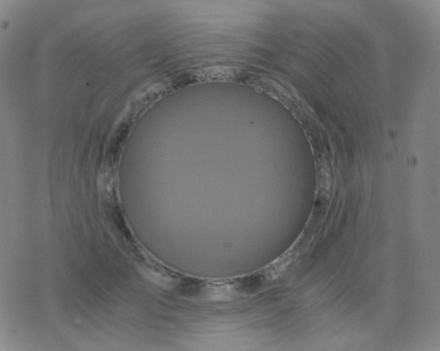 X0000076450701200610202335