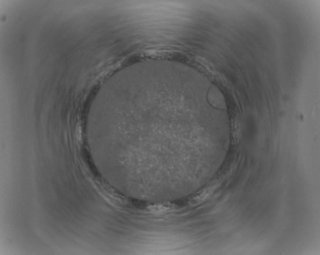 X0000076450703200610202335