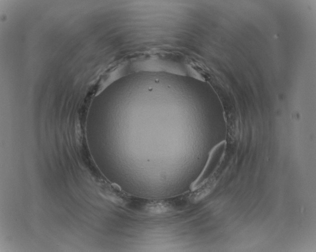 X0000076450704200610202335