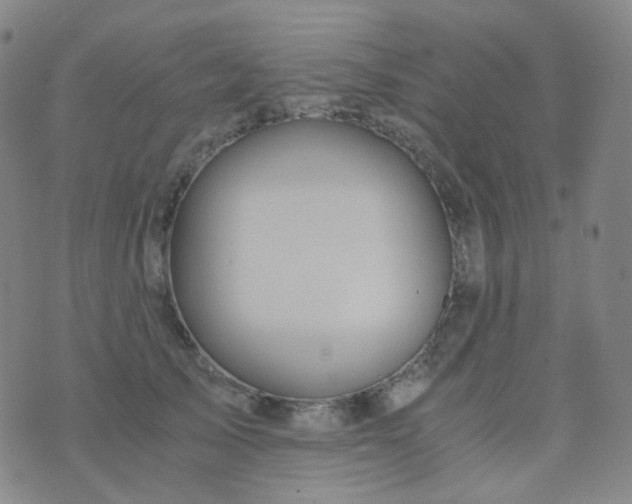 X0000076450705200610202335