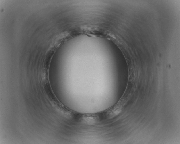 X0000076450706200610202335