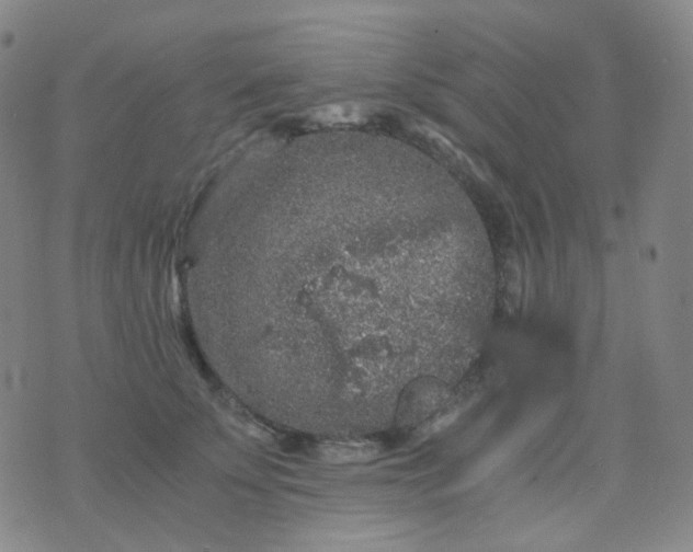 X0000076450707200610202335