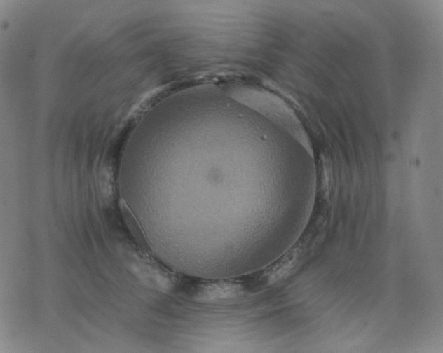 X0000076450708200610202335