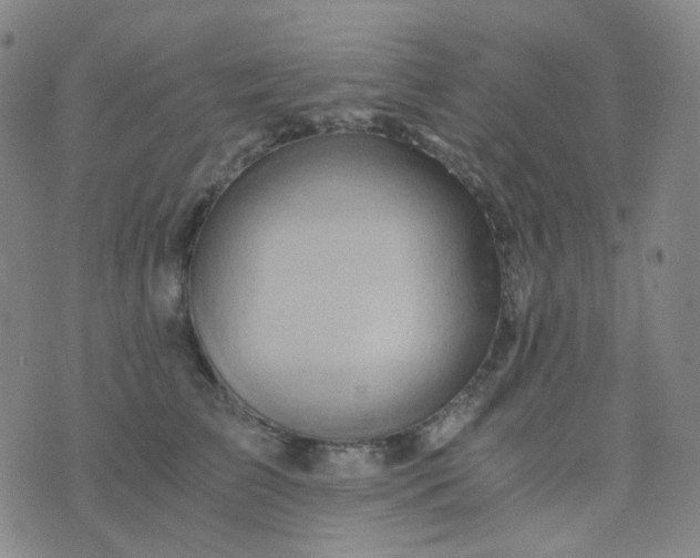 X0000076450709200610202335