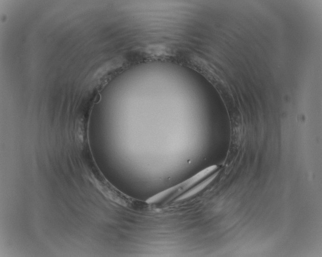 X0000076450710200610202335