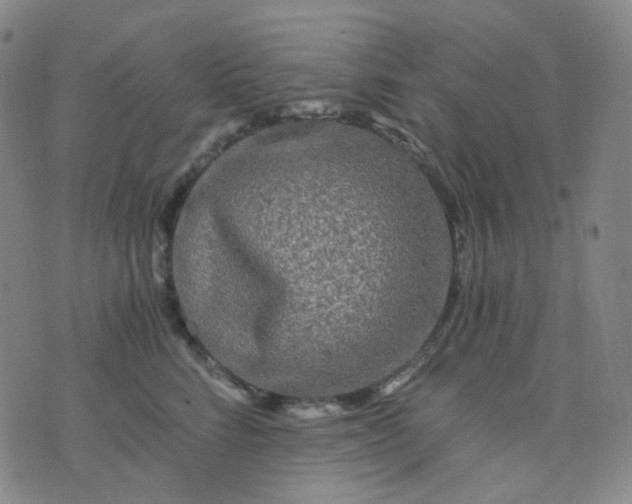 X0000076450712200610202335