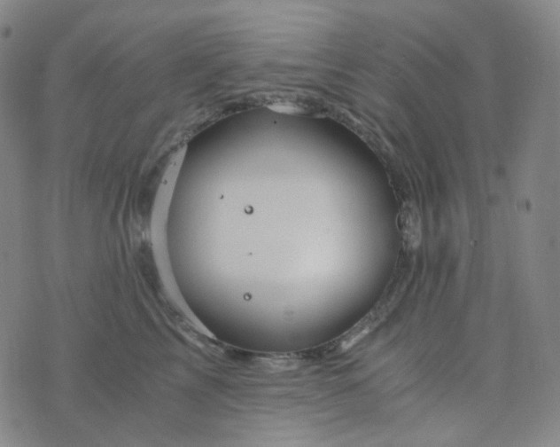 X0000076450713200610202335