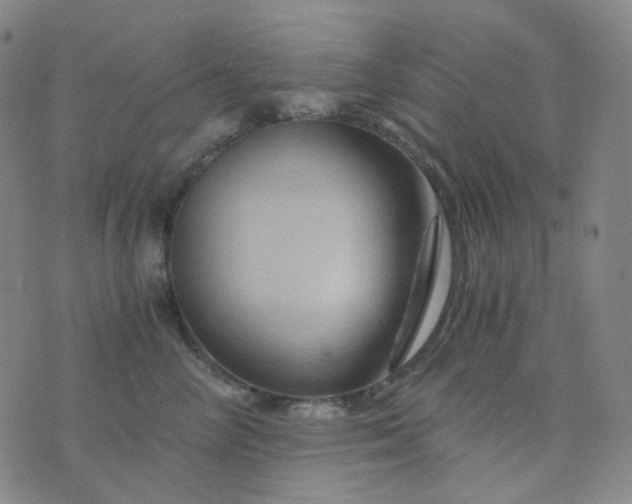 X0000076450714200610202335