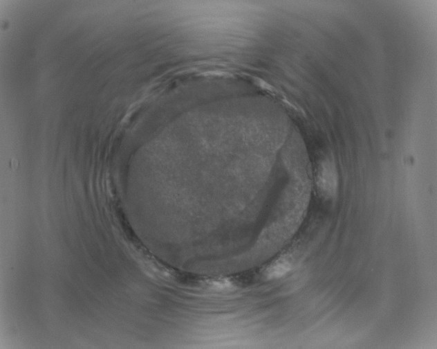 X0000076450715200610202335