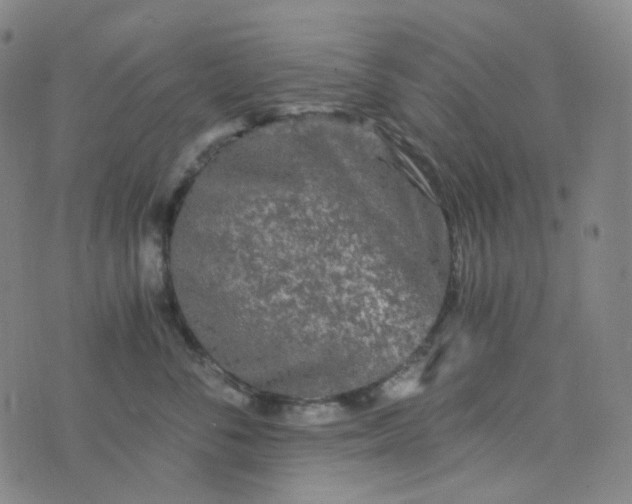 X0000076450716200610202335