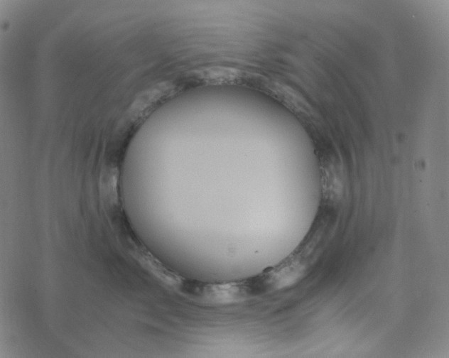 X0000076450717200610202335