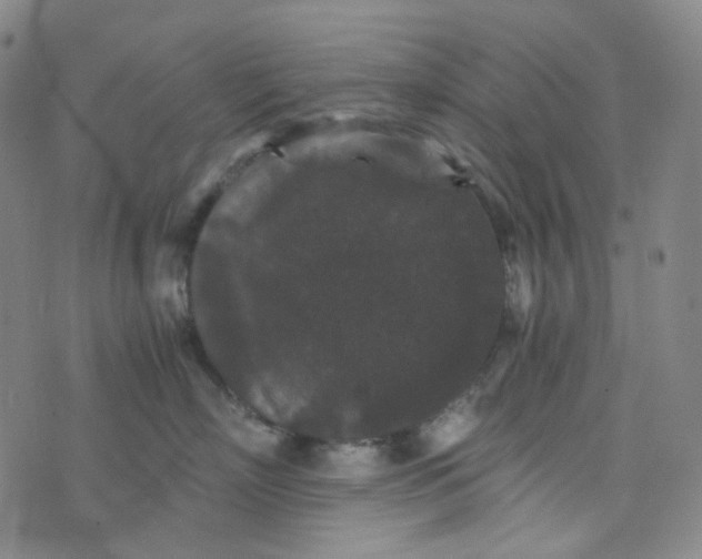 X0000076450718200610202335