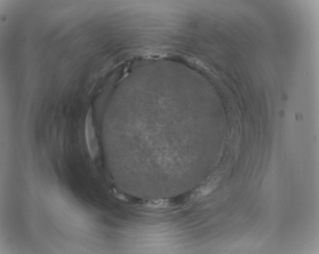 X0000076450720200610202335