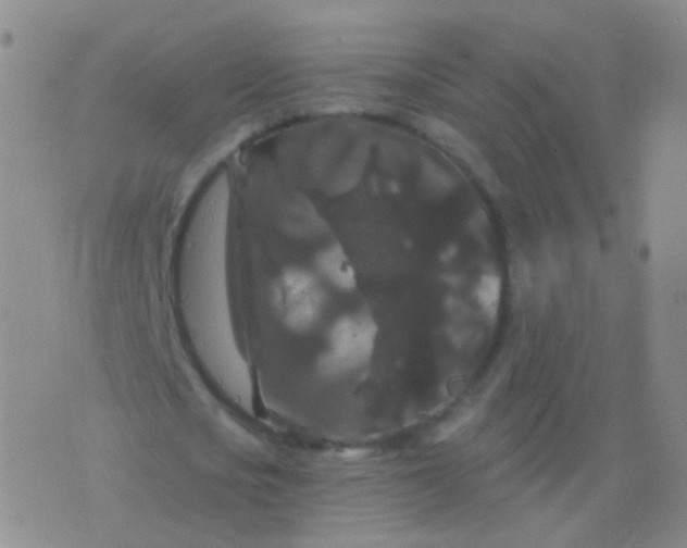 X0000076450721200610202334