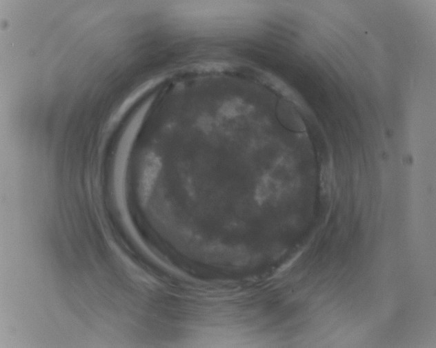 X0000076450722200610202334