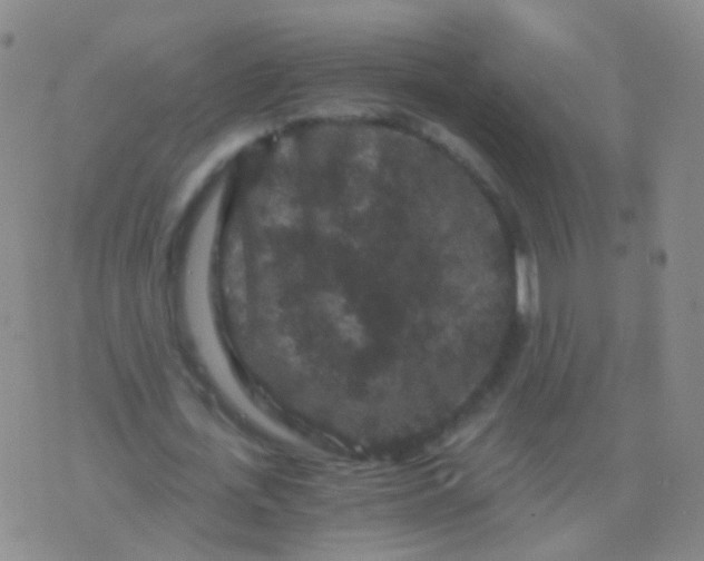 X0000076450723200610202334