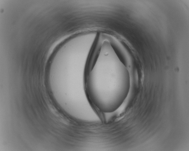 X0000076450724200610202334