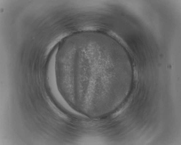 X0000076450725200610202334