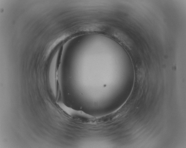 X0000076450727200610202334