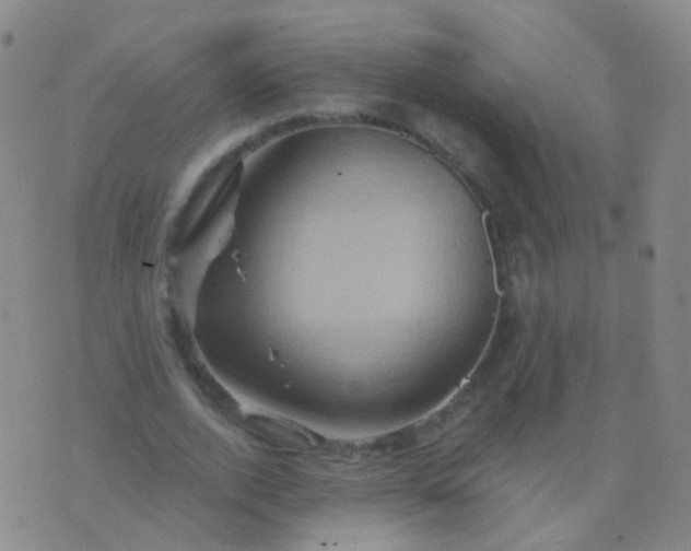 X0000076450728200610202334