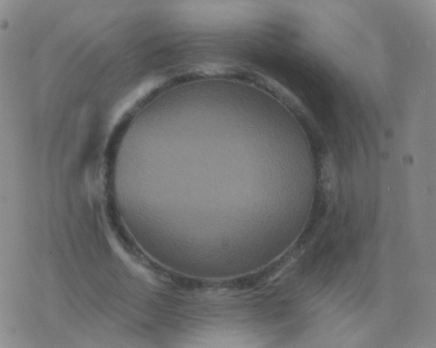 X0000076450730200610202334