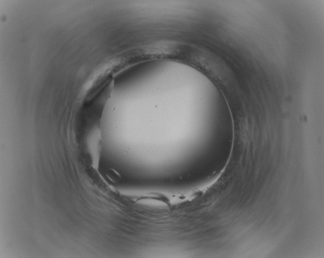 X0000076450731200610202334