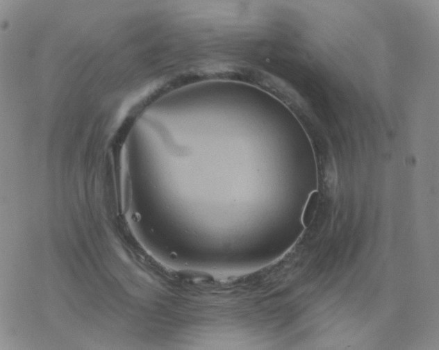 X0000076450732200610202334