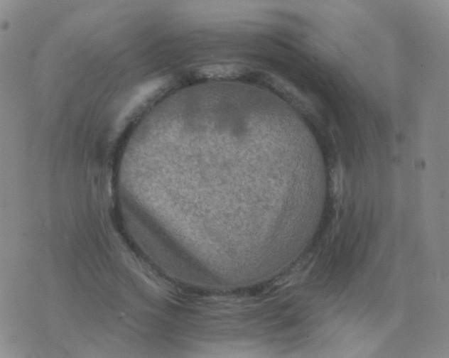 X0000076450733200610202334