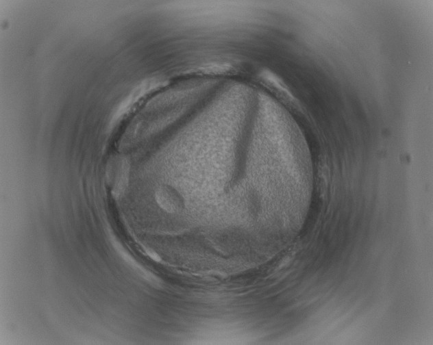 X0000076450734200610202334