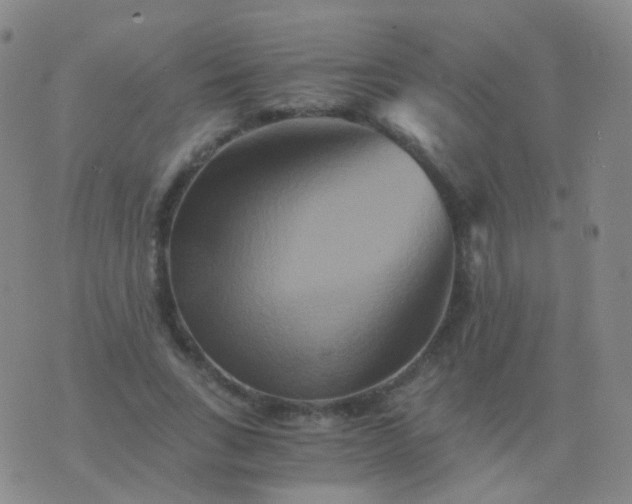 X0000076450735200610202334