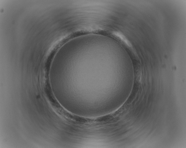 X0000076450736200610202334