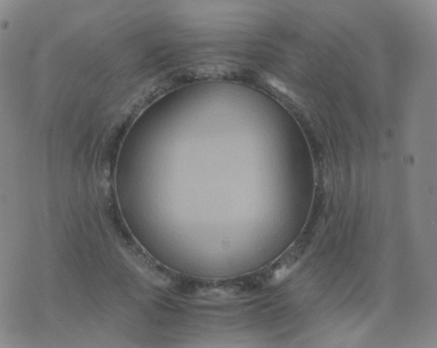 X0000076450737200610202334