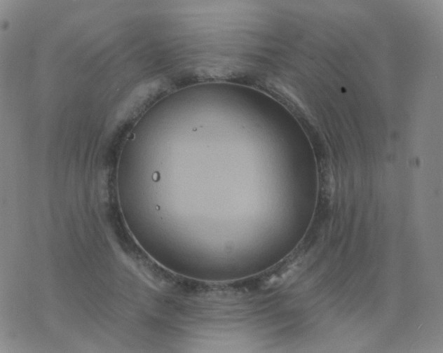 X0000076450738200610202334