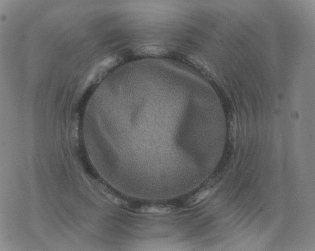 X0000076450739200610202334